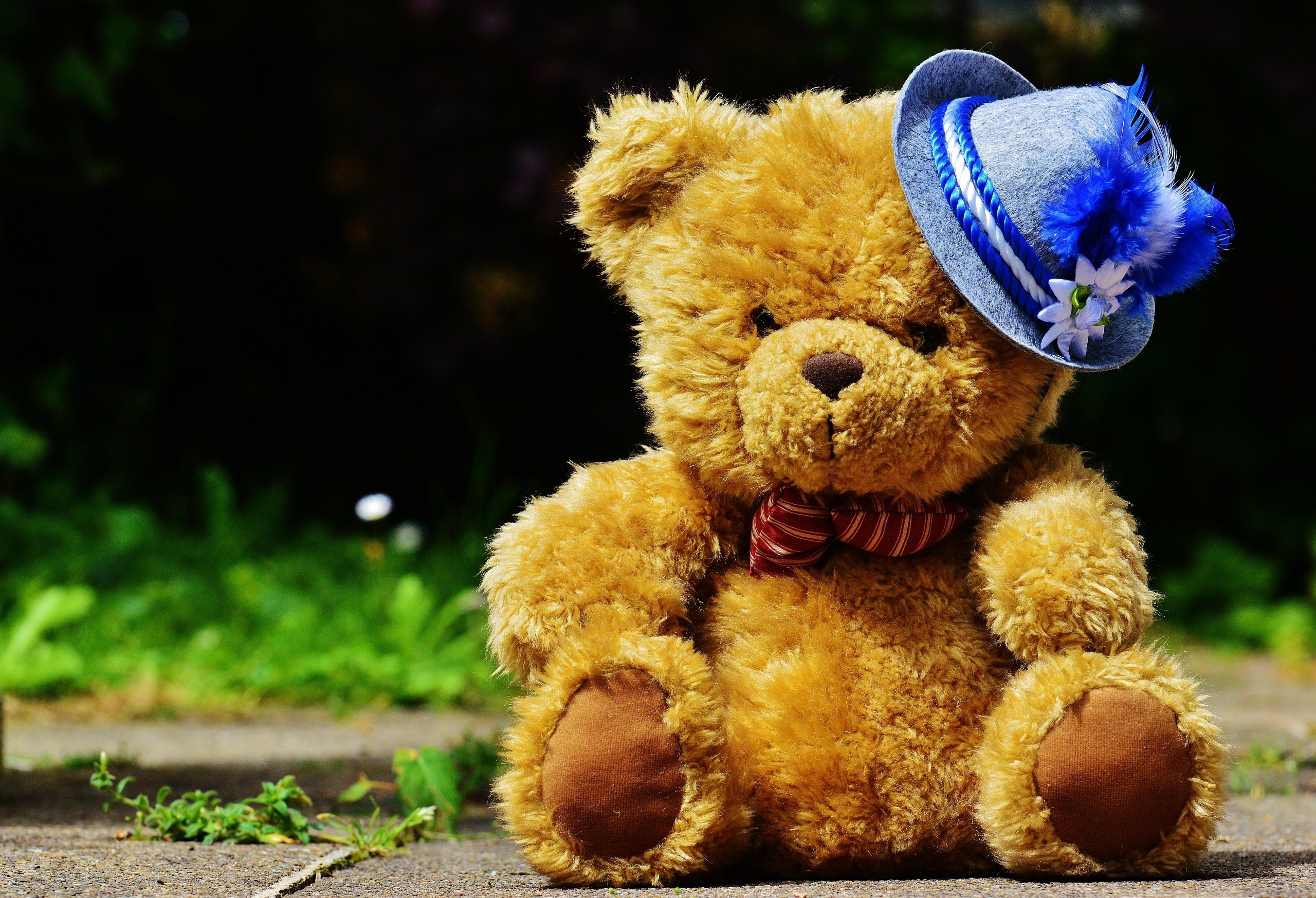 Stuffed Animal HD Wallpaper and background. famous