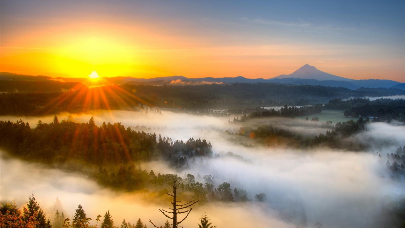 Wallpaper Morning mist mountain sunrise 2560x1600 HD Picture