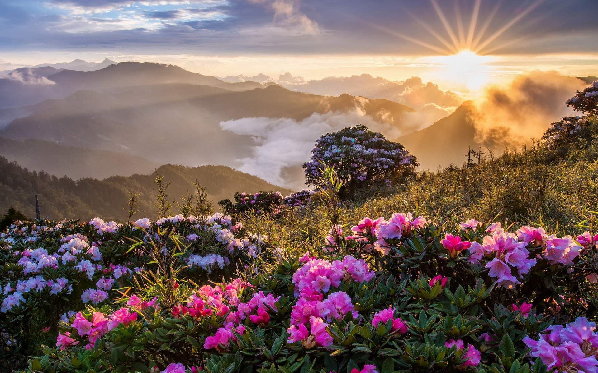 Mountain Sunrise Beautiful Landscape For Desktop In