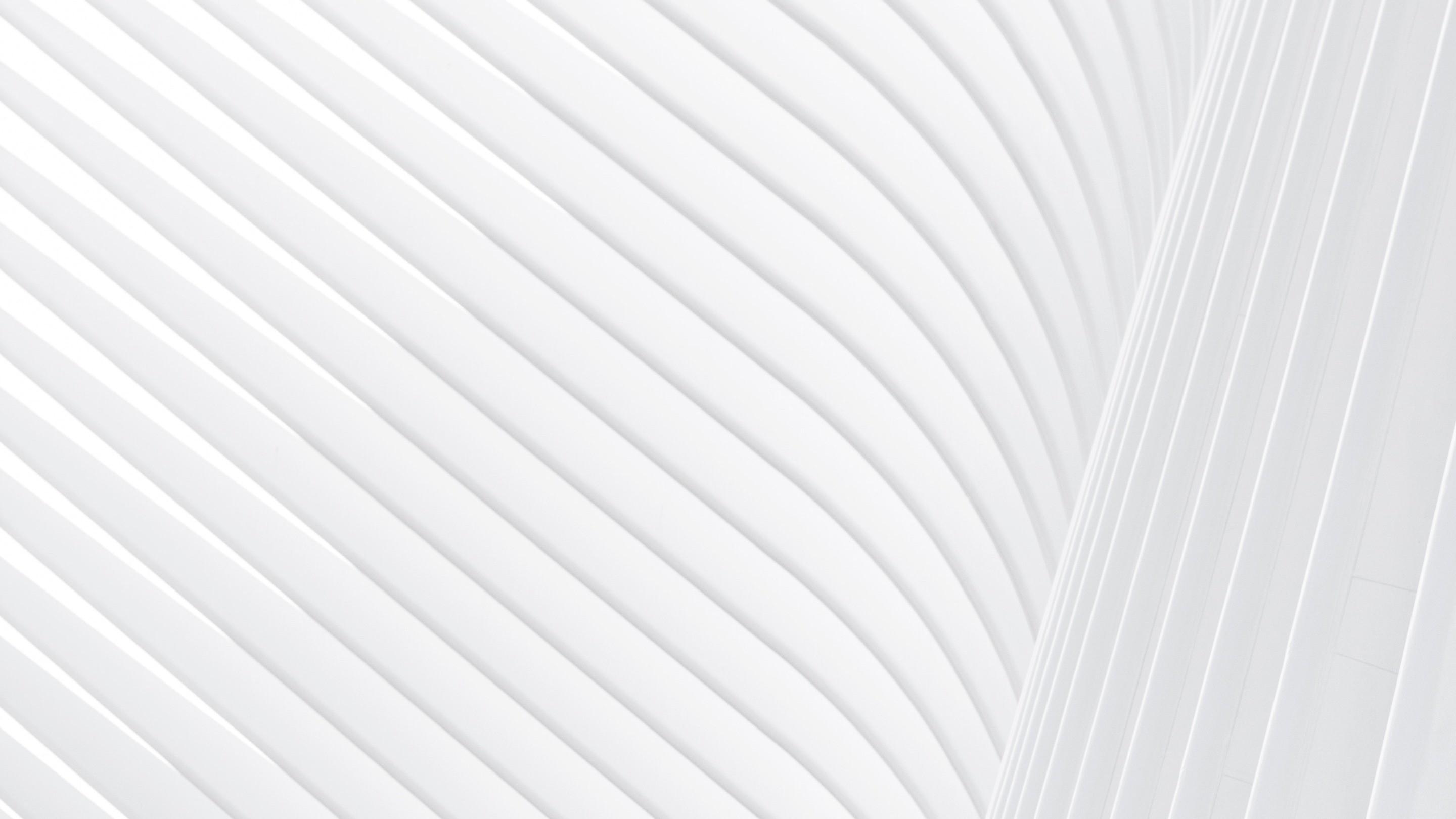 White Stripe Pattern Abstract Wallpaper
