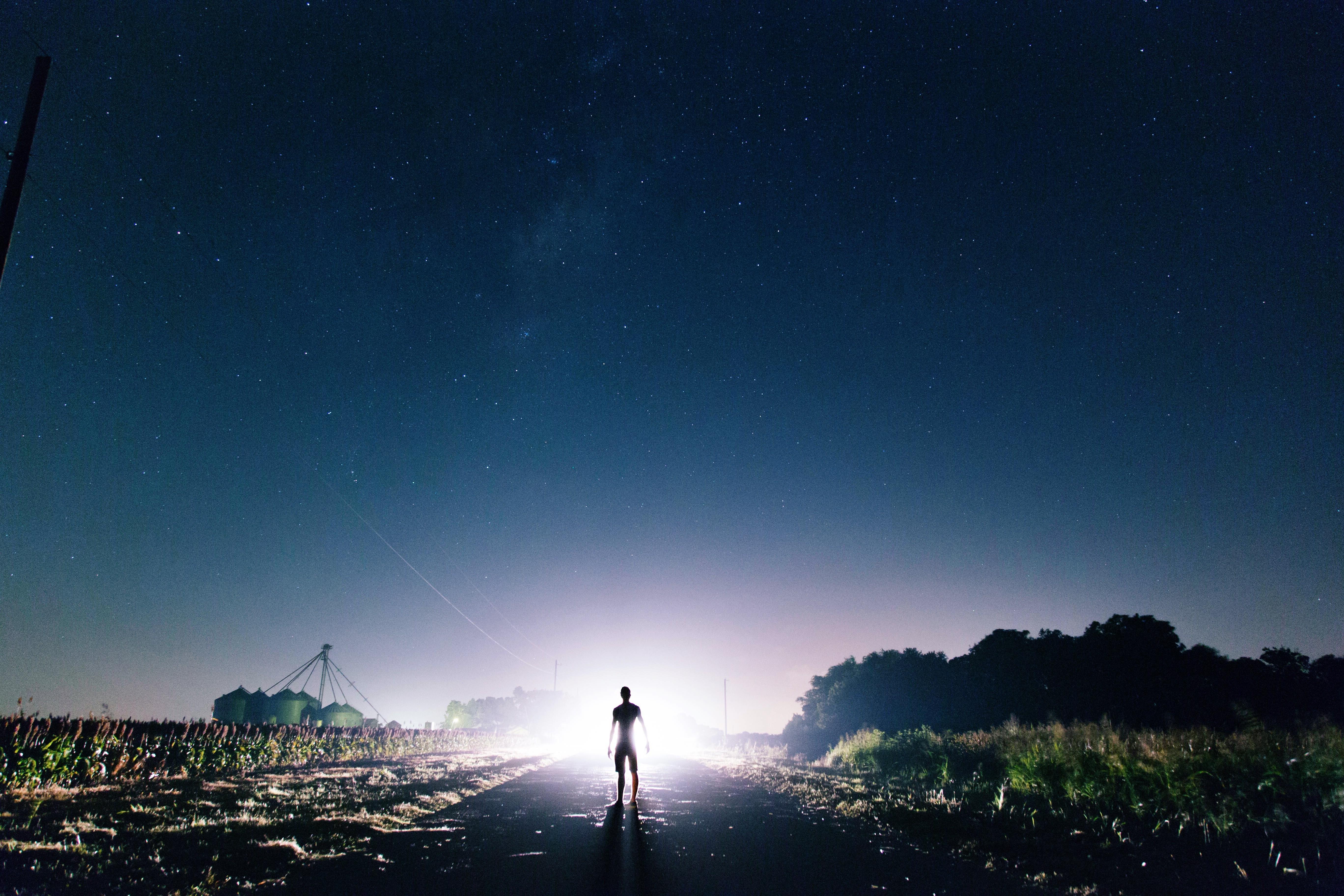 landscape, Horizon, Headlights, Trees, Evening, Night, Field