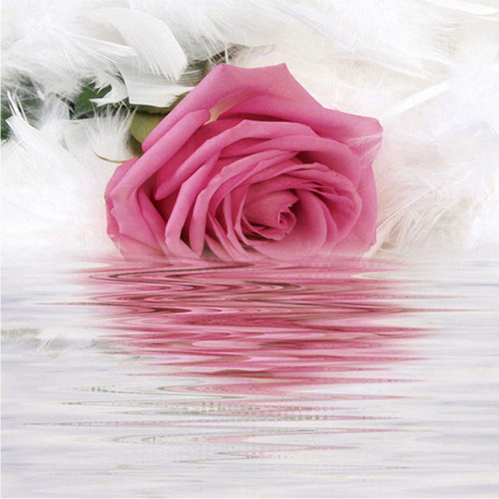 Xbwy Romantic Rose Feather Reflection On Water Photo