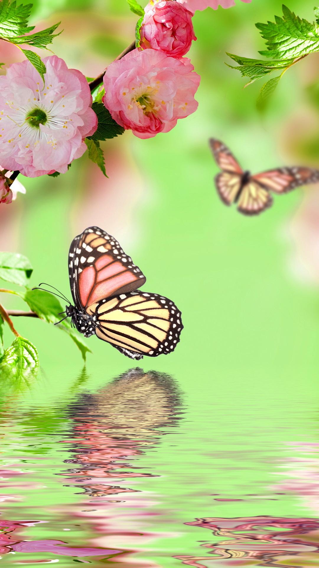 reflection, spring, pink, water, spring, flowers