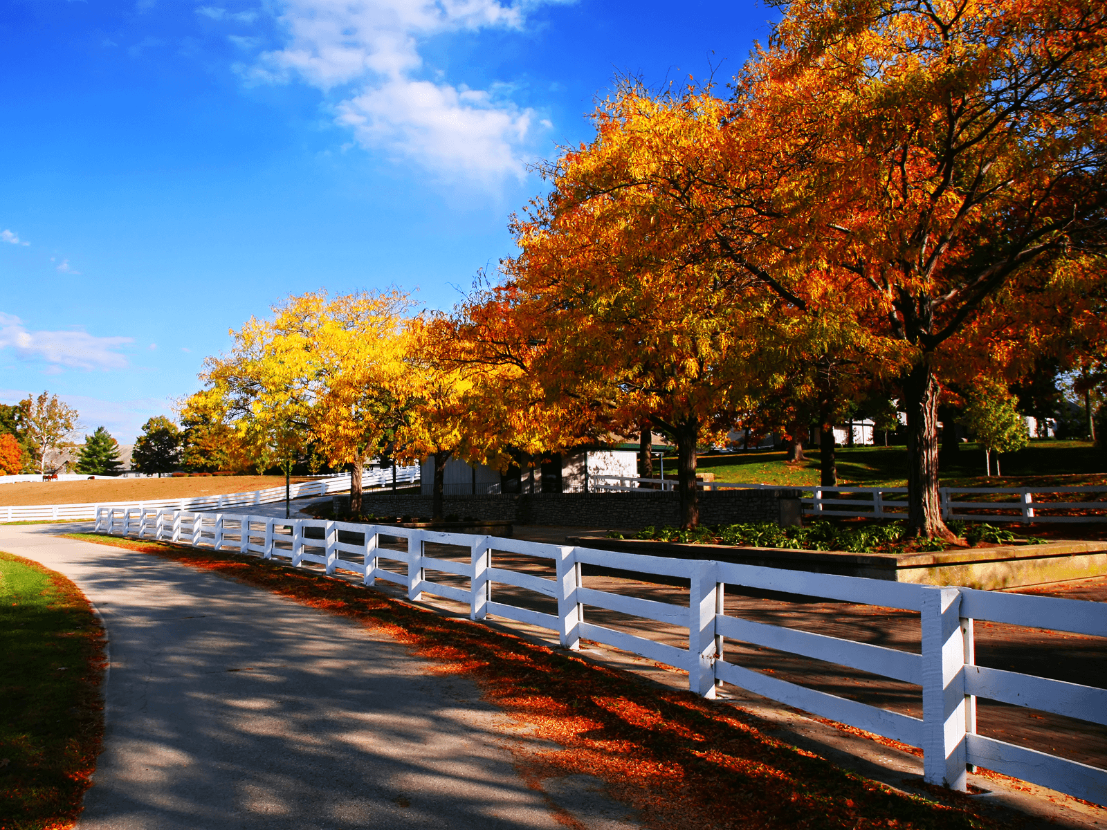Horse Farm Autumn wallpaper. This Year's Election is About