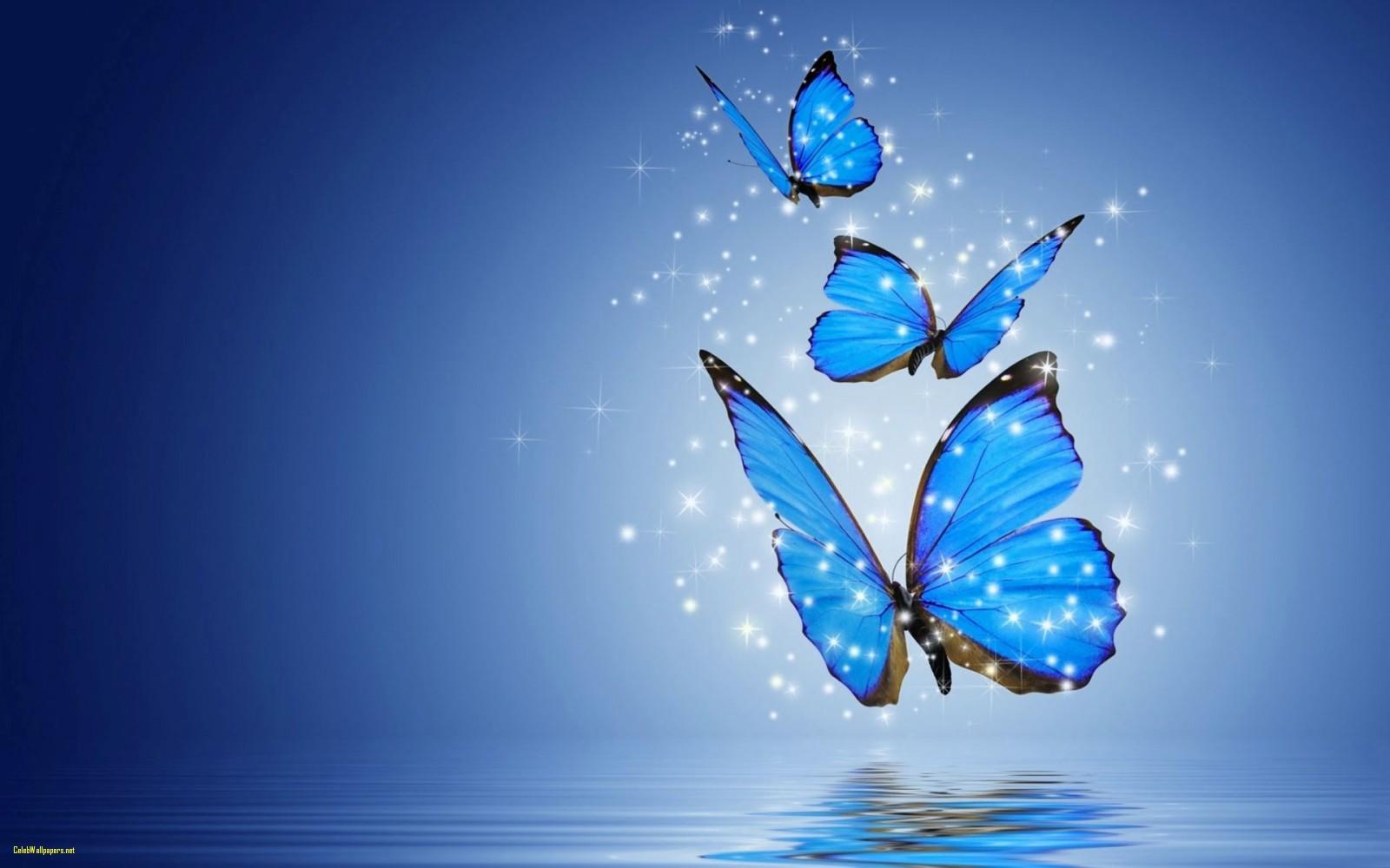 Download Wallpaper With Butterfly, HD Background Download