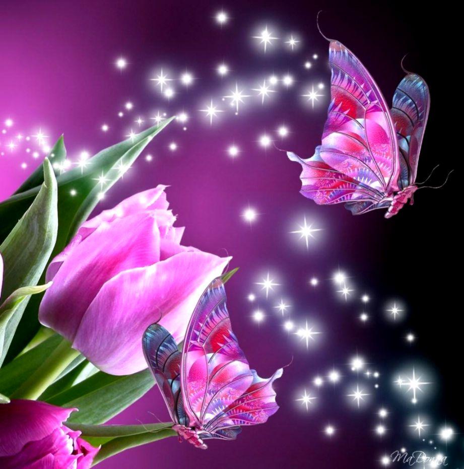 3D Butterfly Wallpaper