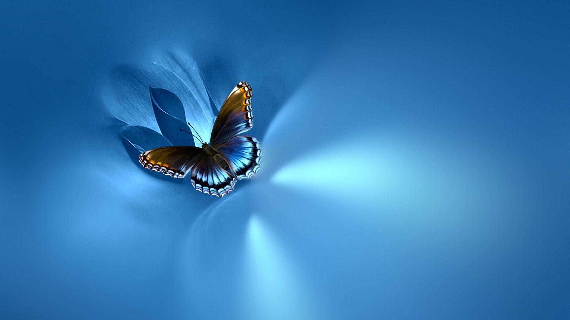 Blue Butterfly Wallpaper background picture