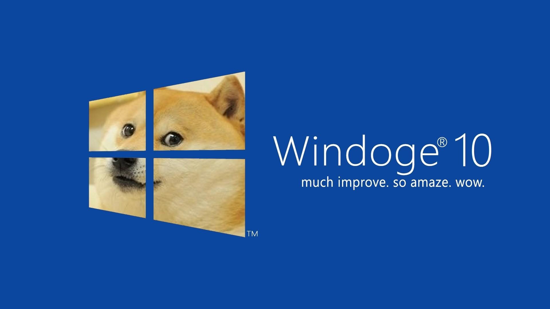 Funny Windows 10 Wallpaper