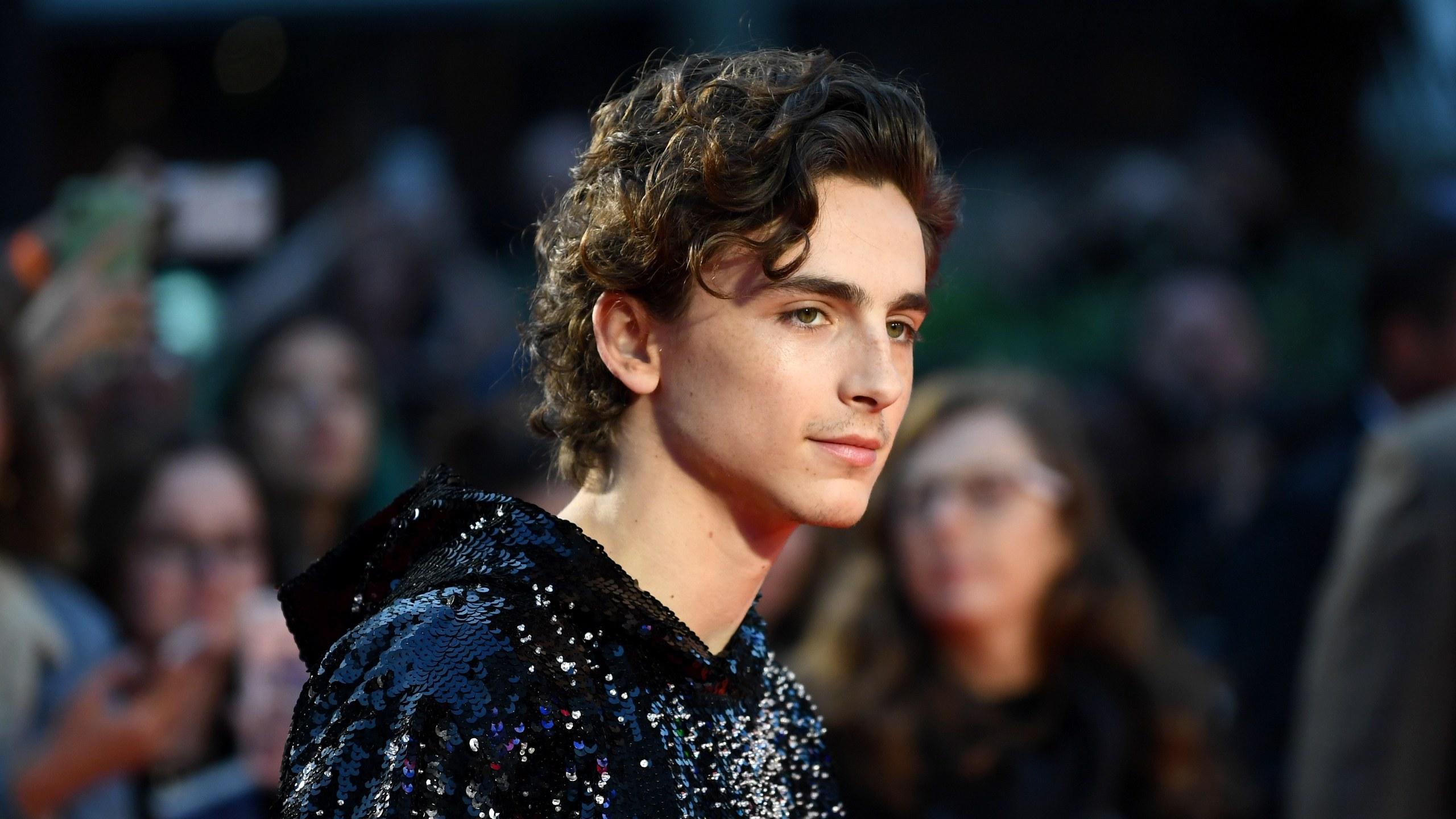 Timothée Chalamet Shakes up the Red Carpet with a High