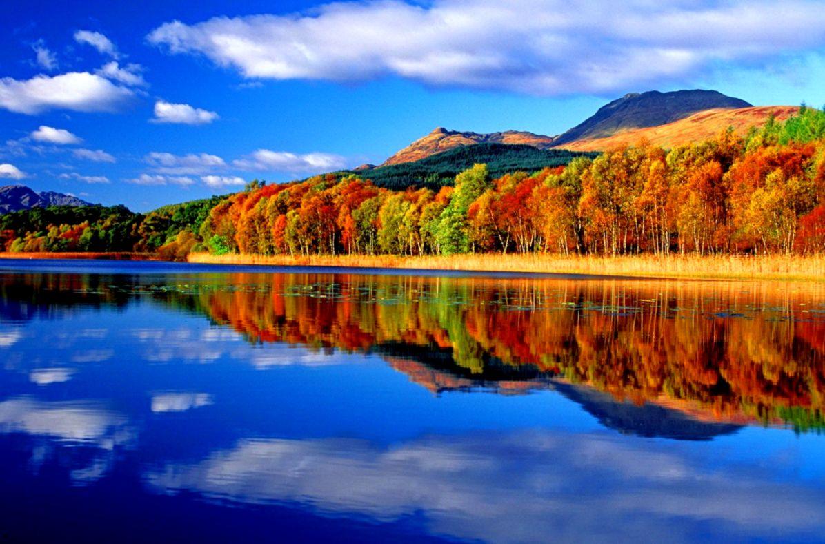 Autumn Reflection Wallpaper