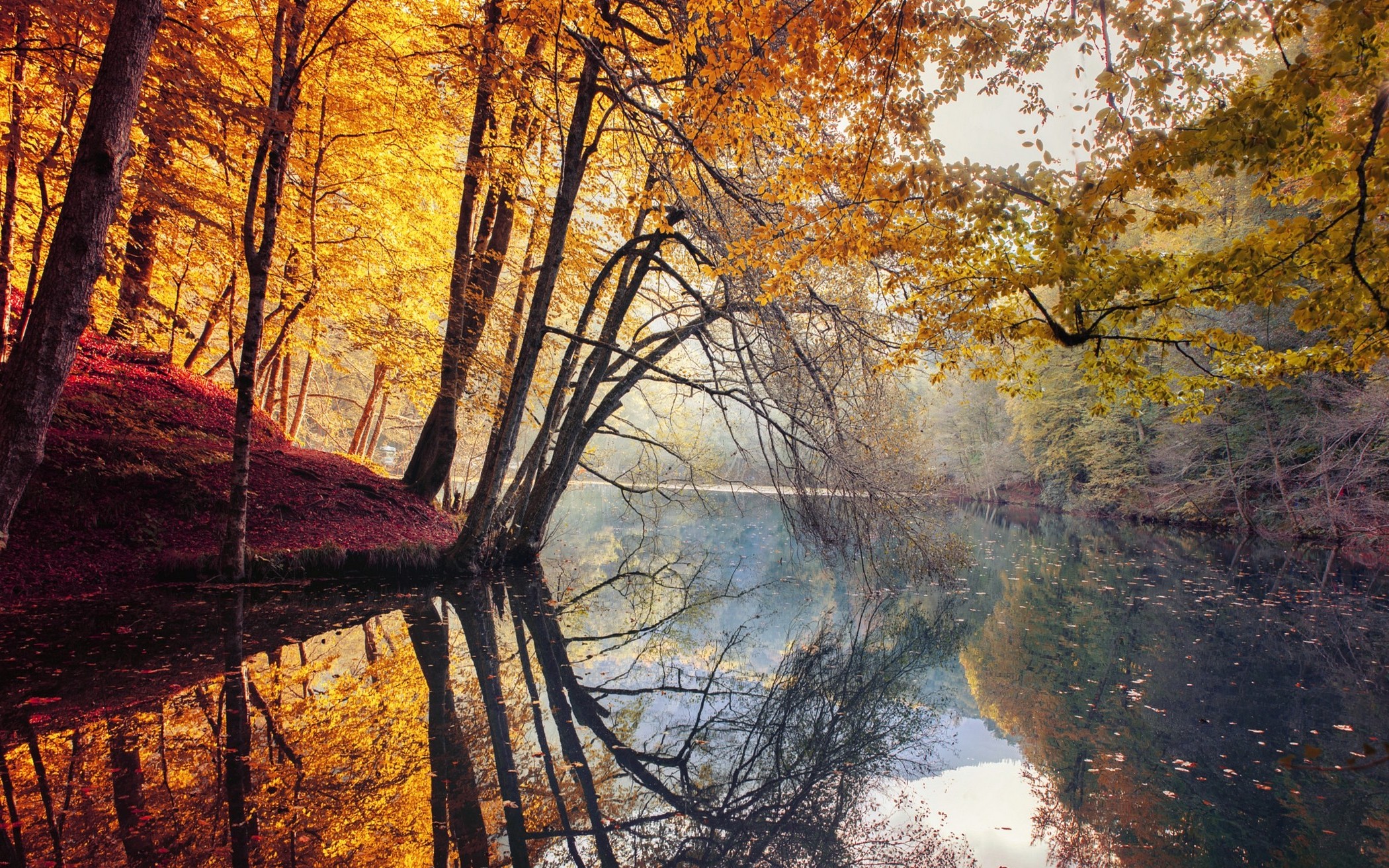 nature, Landscape, Fall, Trees, Yellow, Red, Leaves, Mist, River, Water, Reflection, Turkey, Colorful, Forest Wallpaper HD / Desktop and Mobile Background