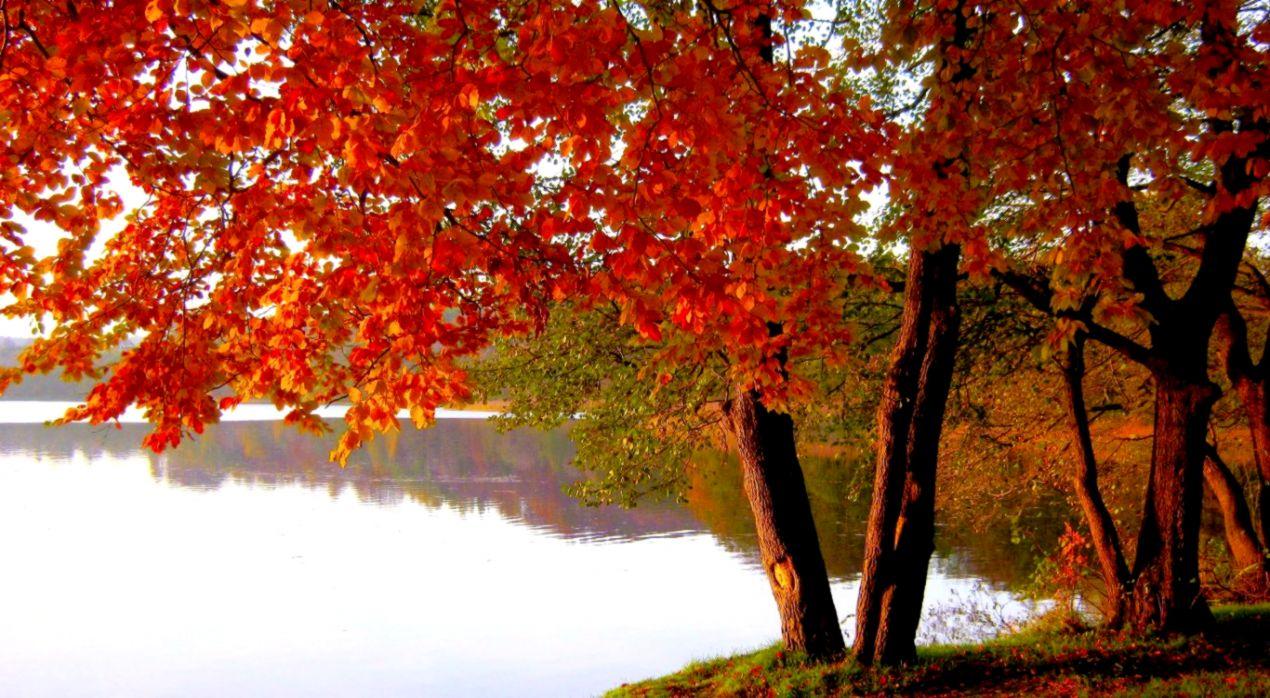 Panoramic Autumn Landscapes Wallpaper