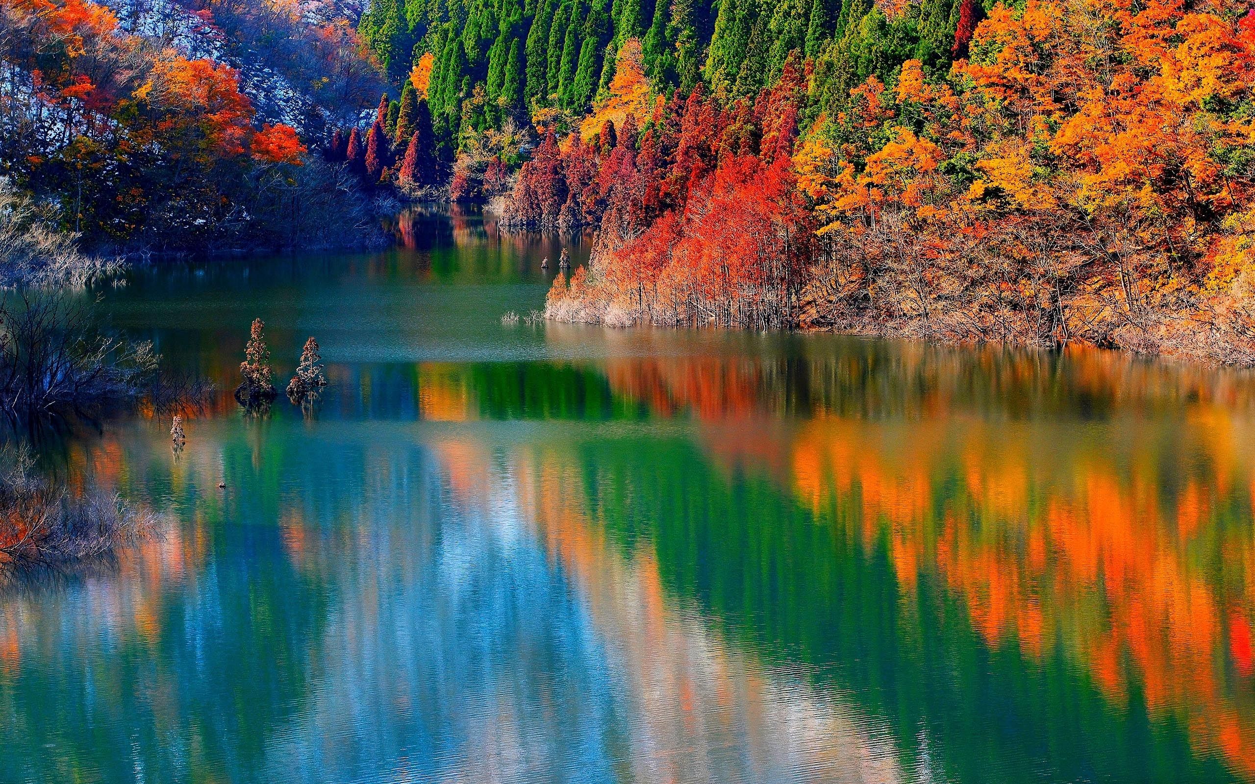 Wallpaper, autumn, lake, forest 645291 2560x1600, Wallpaper13.com. Scenic photo, Scenic wallpaper, Autumn lake