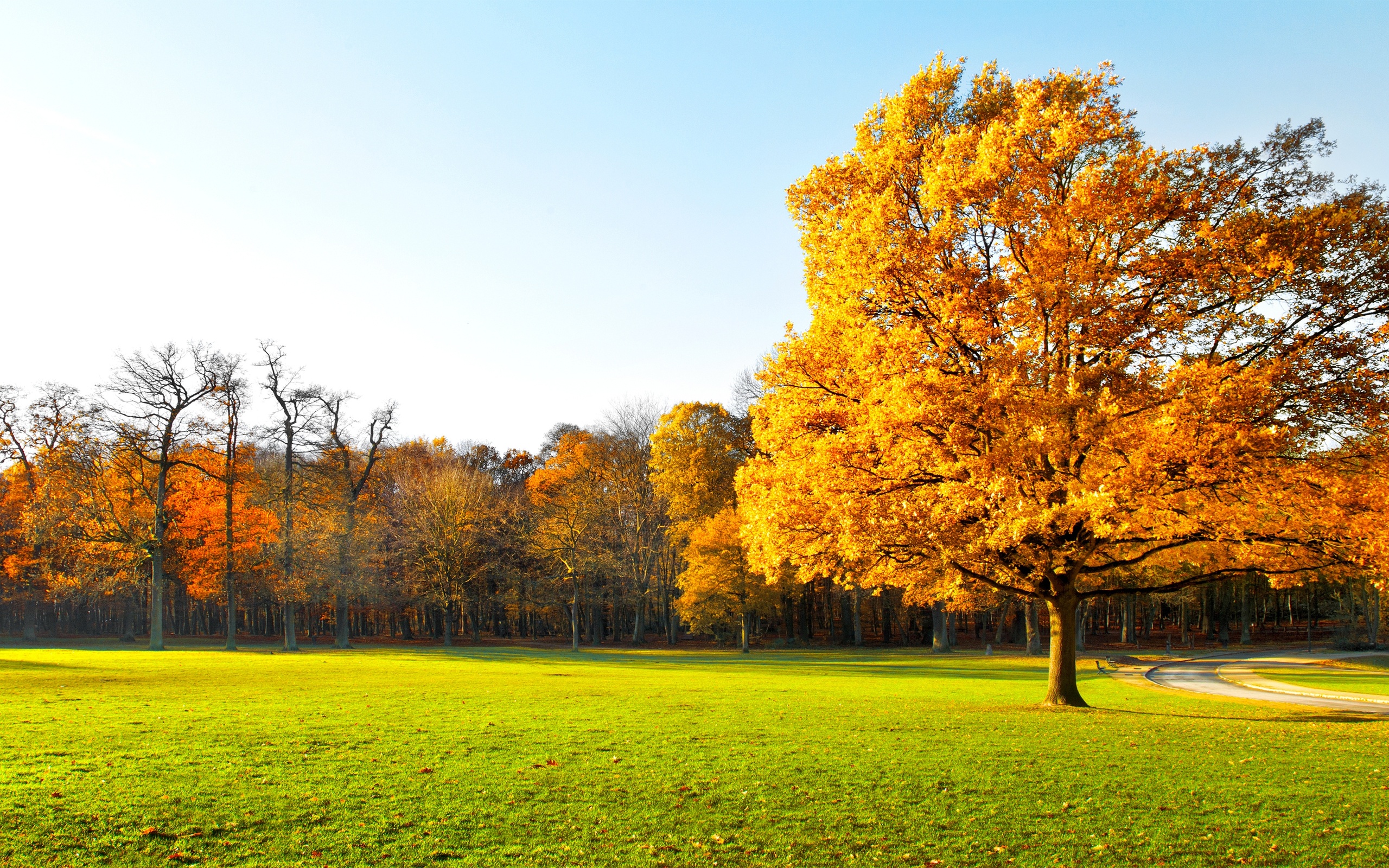 garden, Landscape, Nature, Panorama, Autumn, Trees