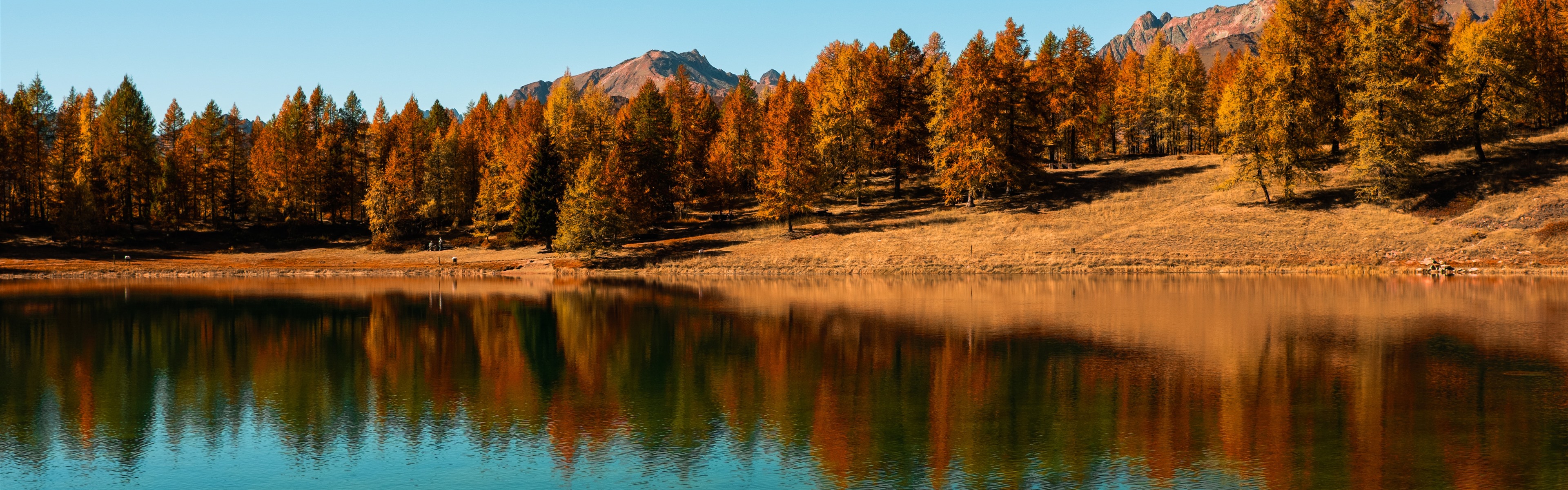 Wallpaper Lake, trees, blue sky, water reflection, autumn