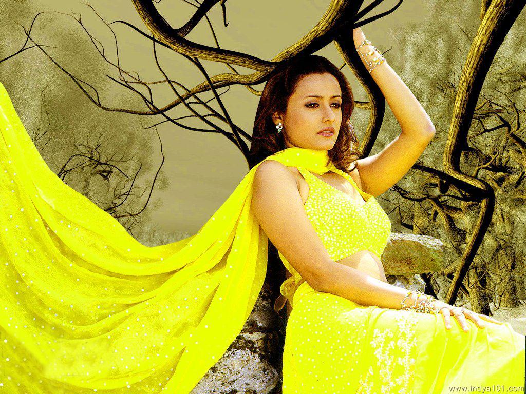 Namrata Shirodkar wallpaper - (1024x768), Indya101.com