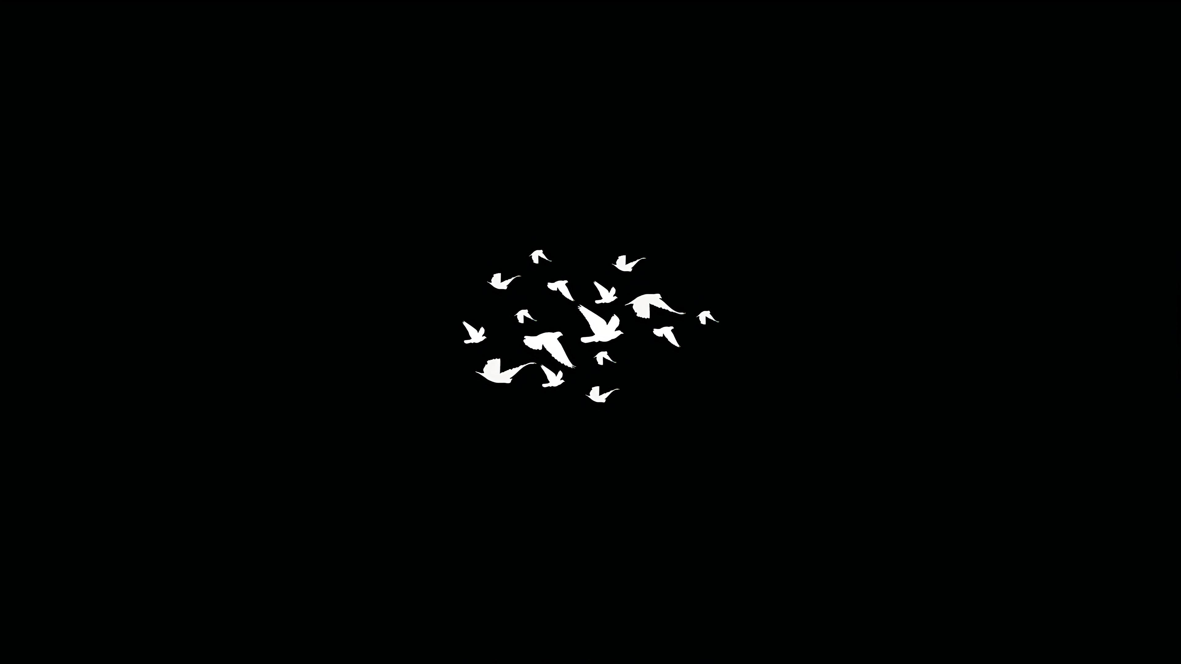 Birds Flying Minimalist Dark 4k, HD Artist, 4k Wallpaper