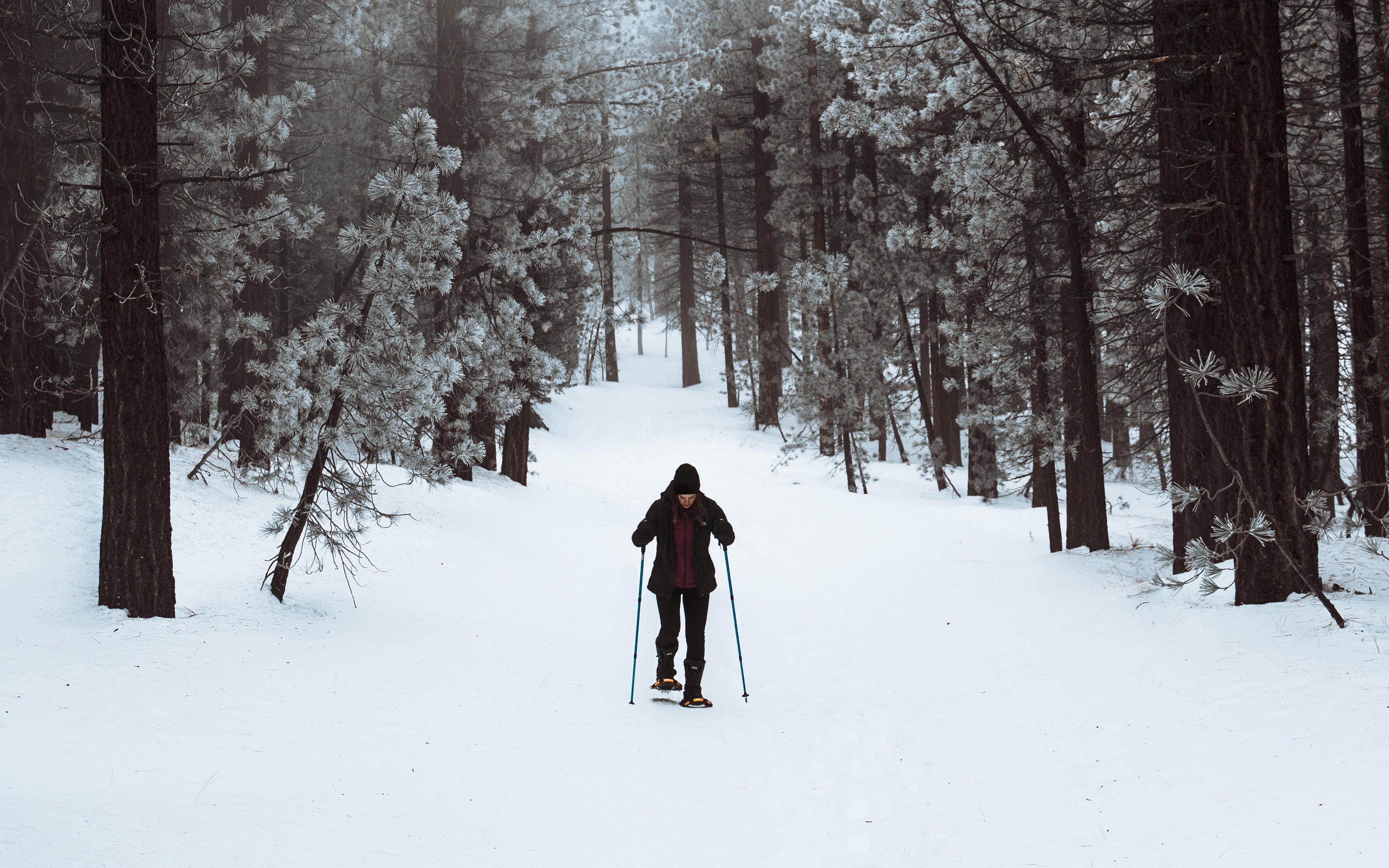 Winter Walk Wallpapers - Wallpaper Cave