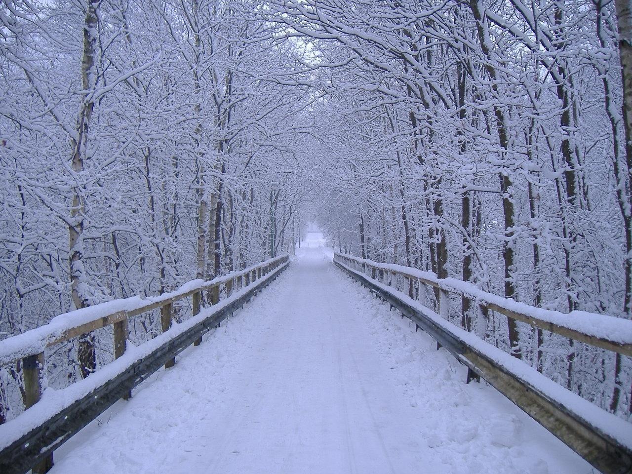 Free Winter, wallpaper, Free Winter HD. Winter scenery, Beautiful winter scenes, Winter landscape
