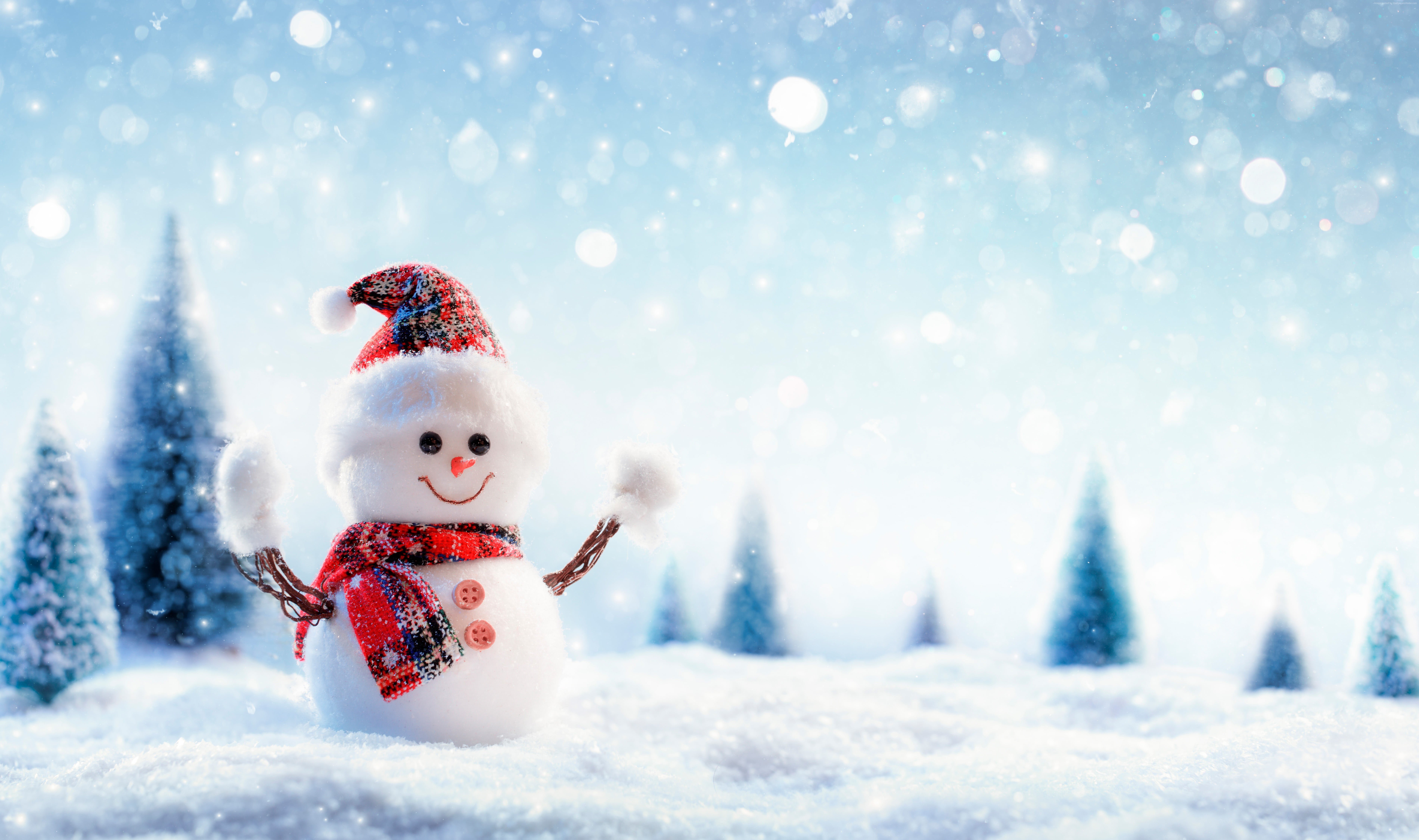 Snowman, Christmas, New Year, snow HD wallpapers