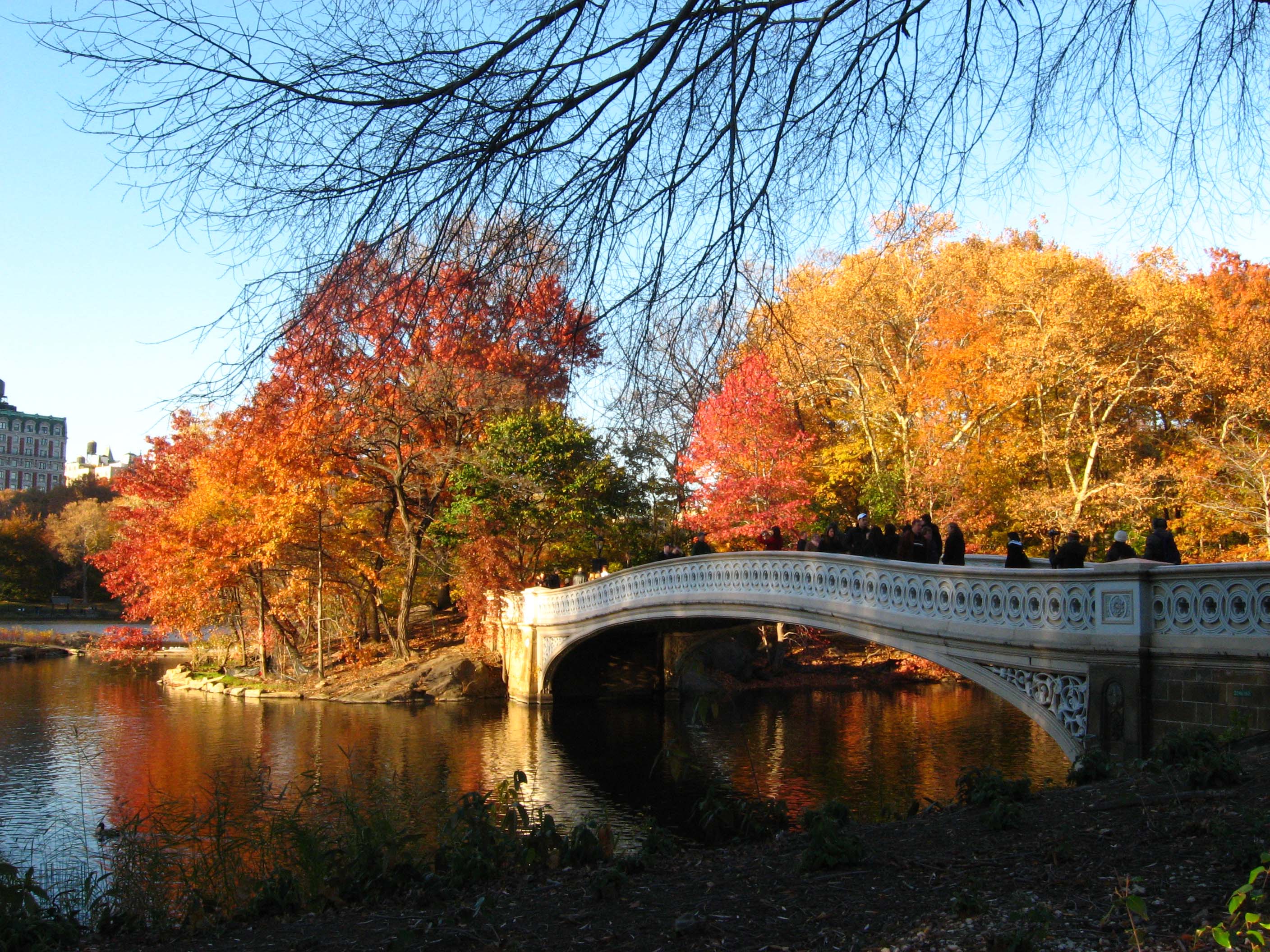 Free download Fiery Autumn at Bow Bridge Central Park Photo [2816x2112] for your Desktop, Mobile & Tablet. Explore Autumn in NYC Wallpaper. HD Spring Wallpaper For Desktop, Beautiful Autumn
