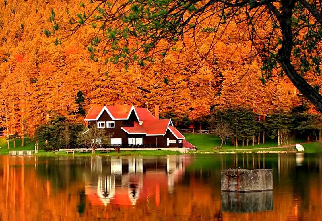 Дом у озера осень