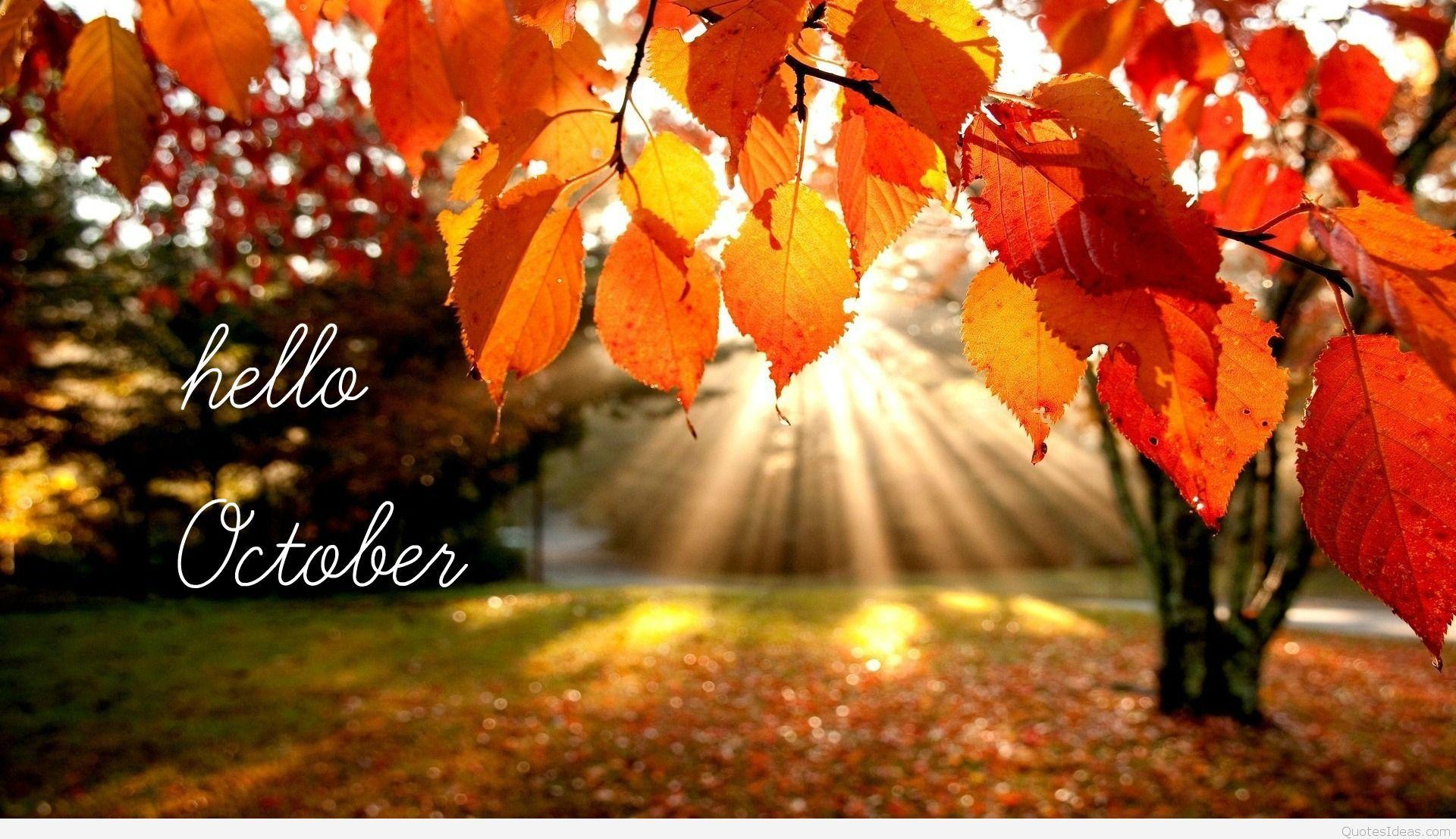 Hello October Wallpaper Free Hello October Background