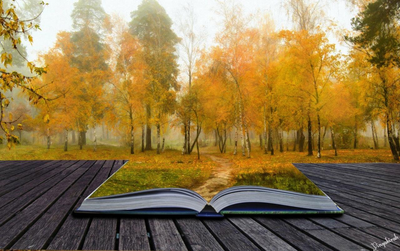 Autumn Book wallpaper. Autumn Book
