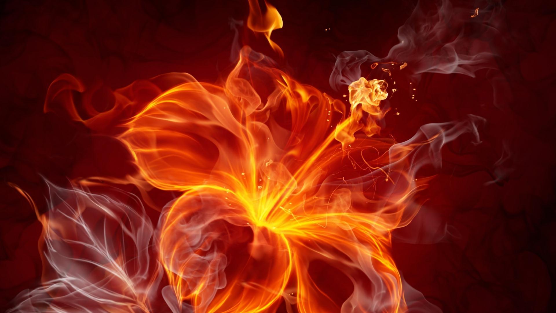 Fire Flowers Wallpaper HD