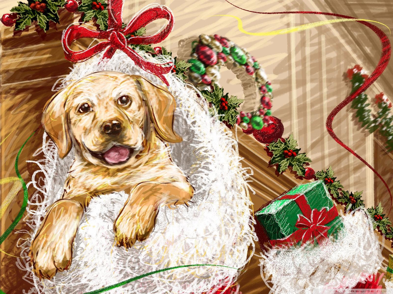 Puppy Gift Wallpapers - Wallpaper Cave