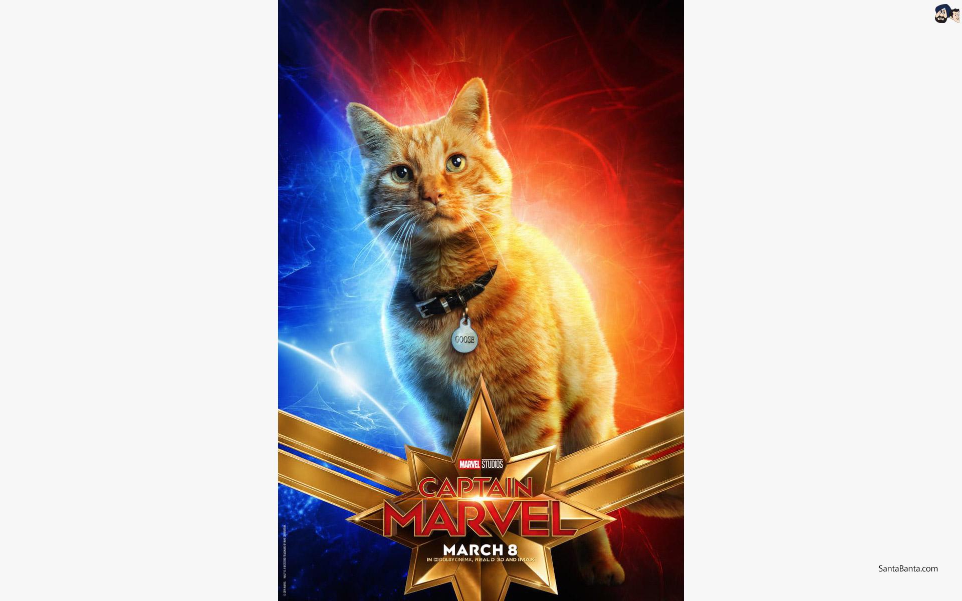 Goose is Captain Marvel`s cat in Captain Marvel March 08