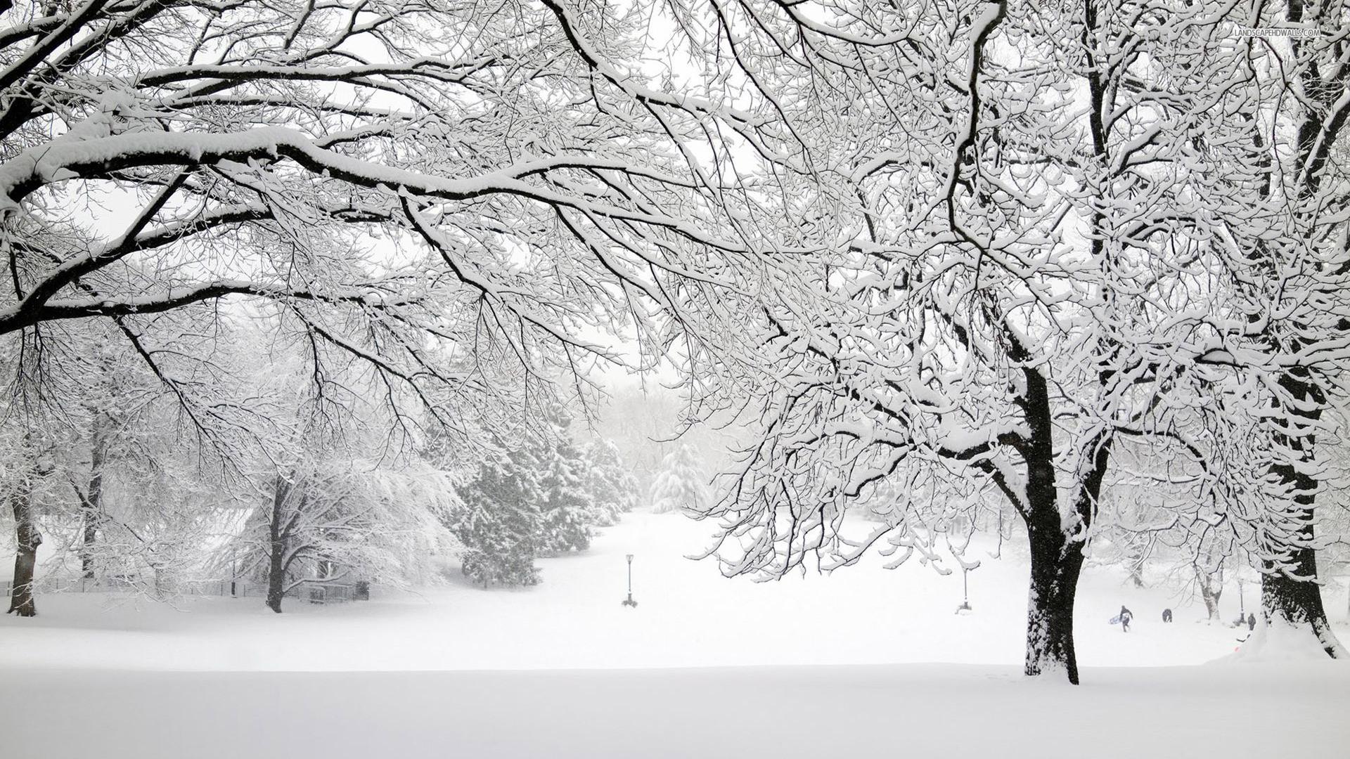 Snow Storm Wallpaper background picture