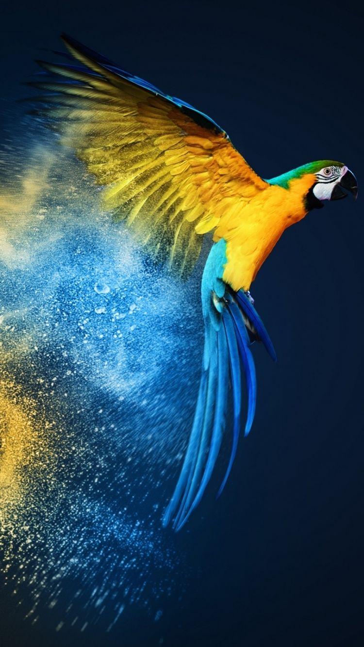Parrot iPhone Wallpapers
