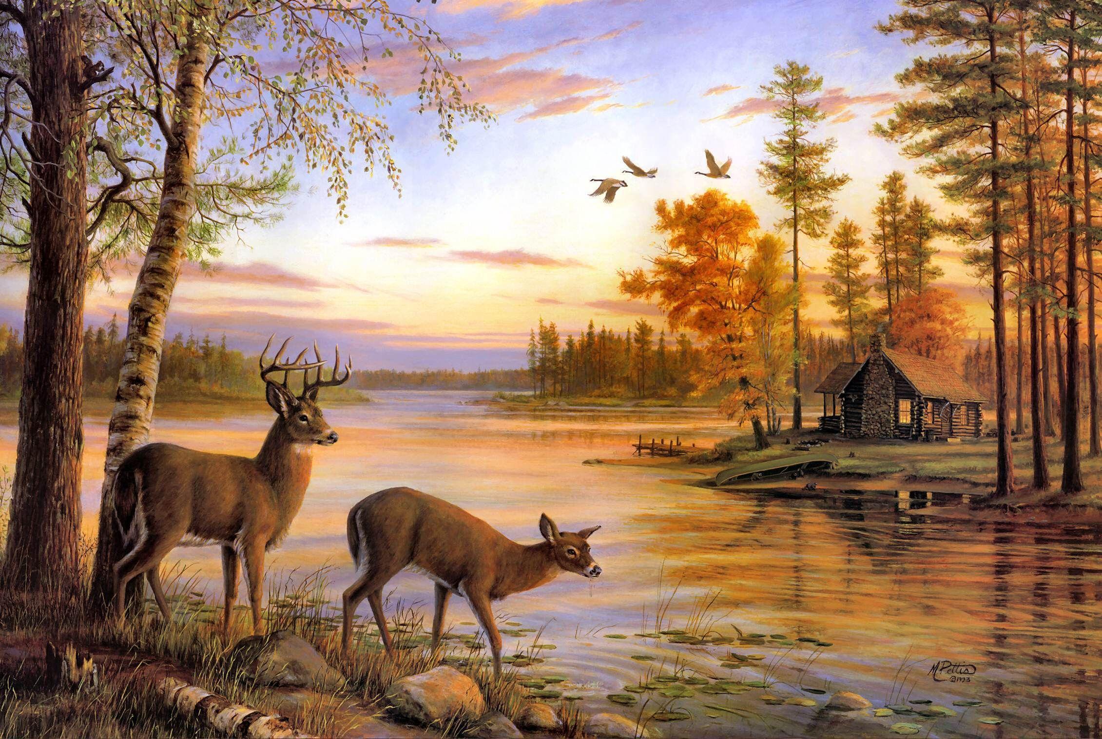 Download New Deer Wallpaper #WYM. Deer painting, Deer wallpaper, Deer art