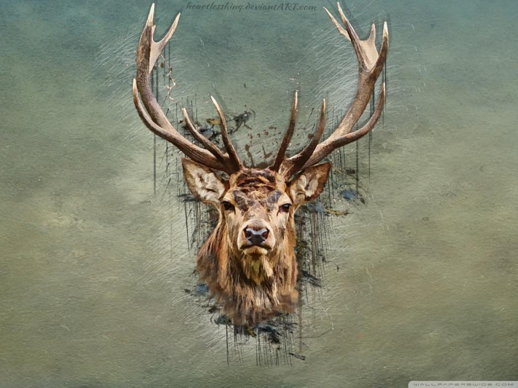 Deers Wallpapers - Wallpaper Cave