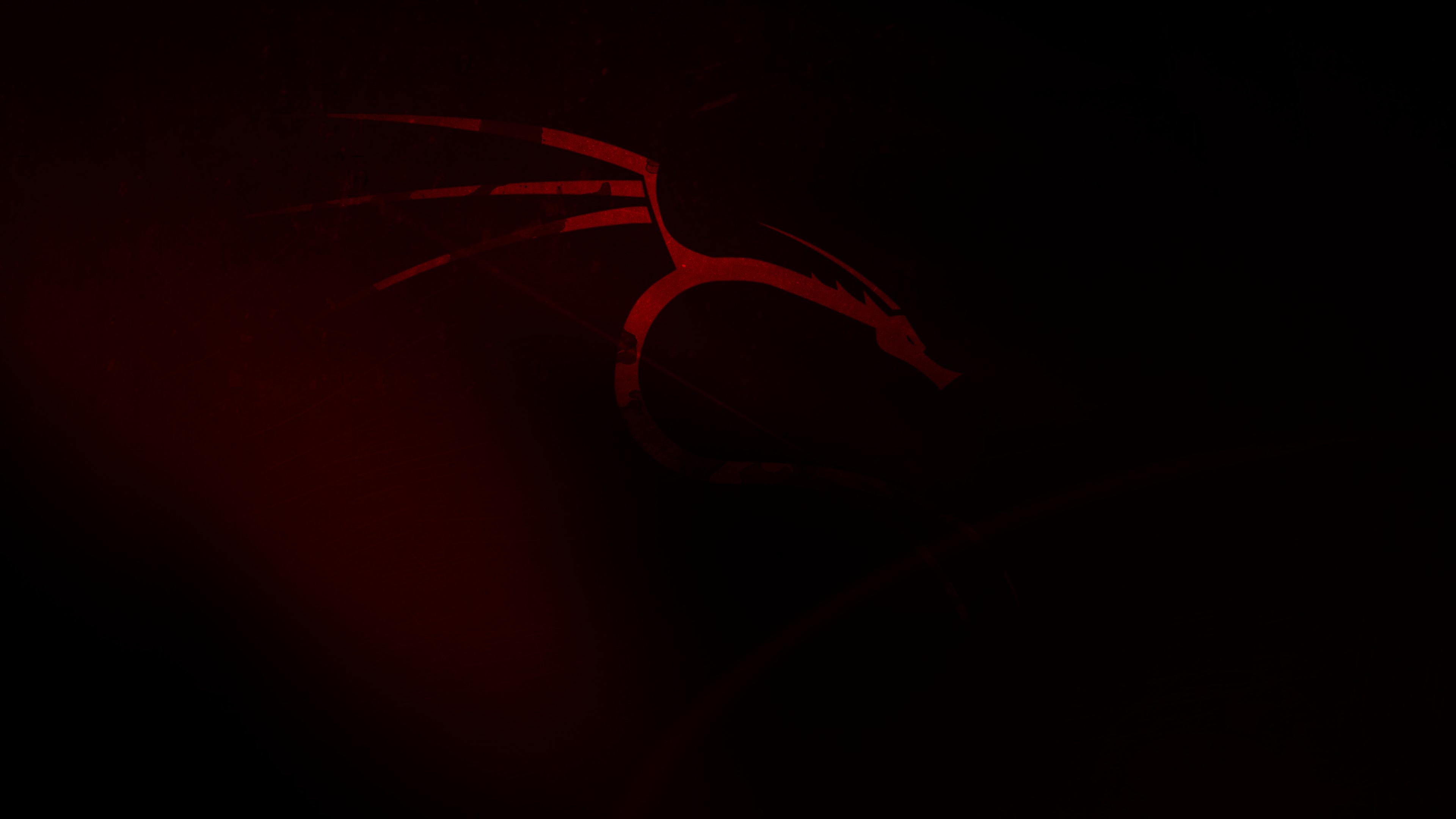 Kali Linux Desktop Wallpapers - Wallpaper Cave