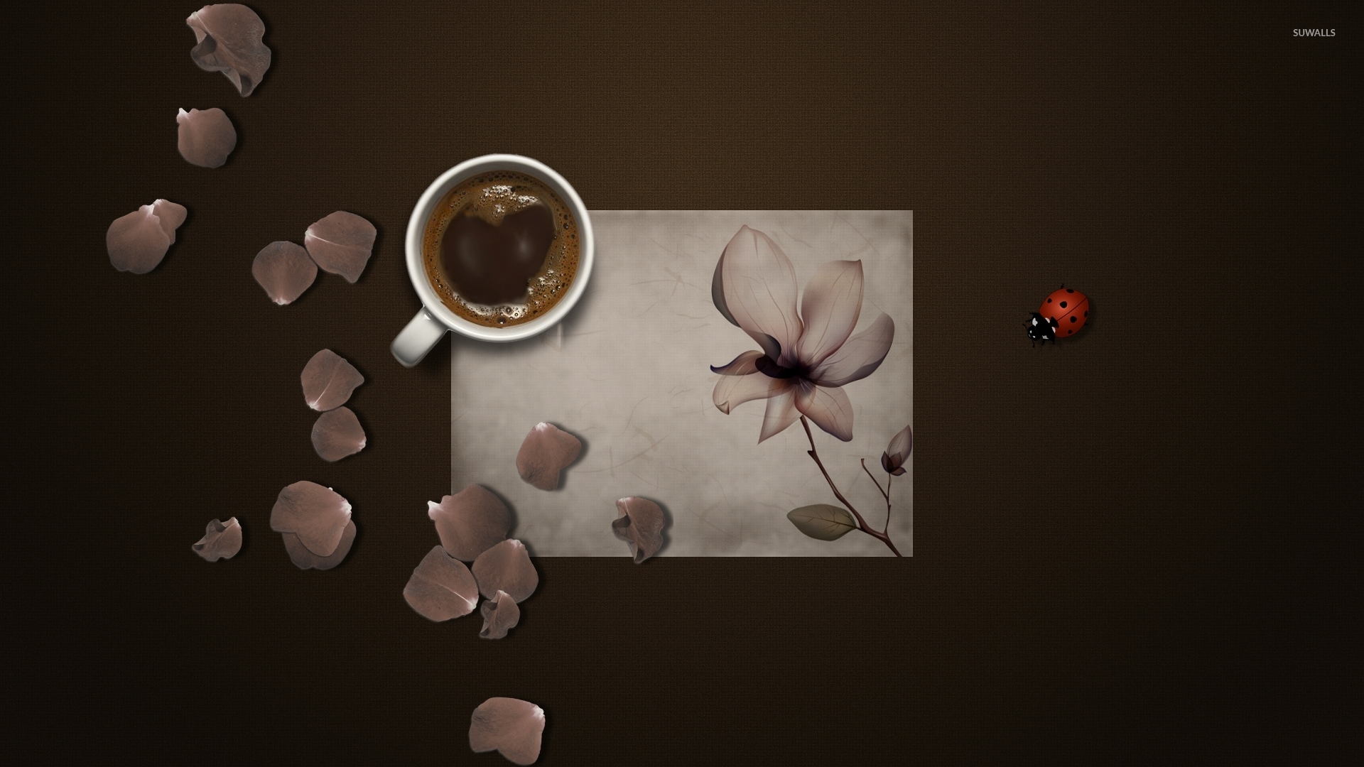 Coffee and rose petals wallpaper Art wallpaper