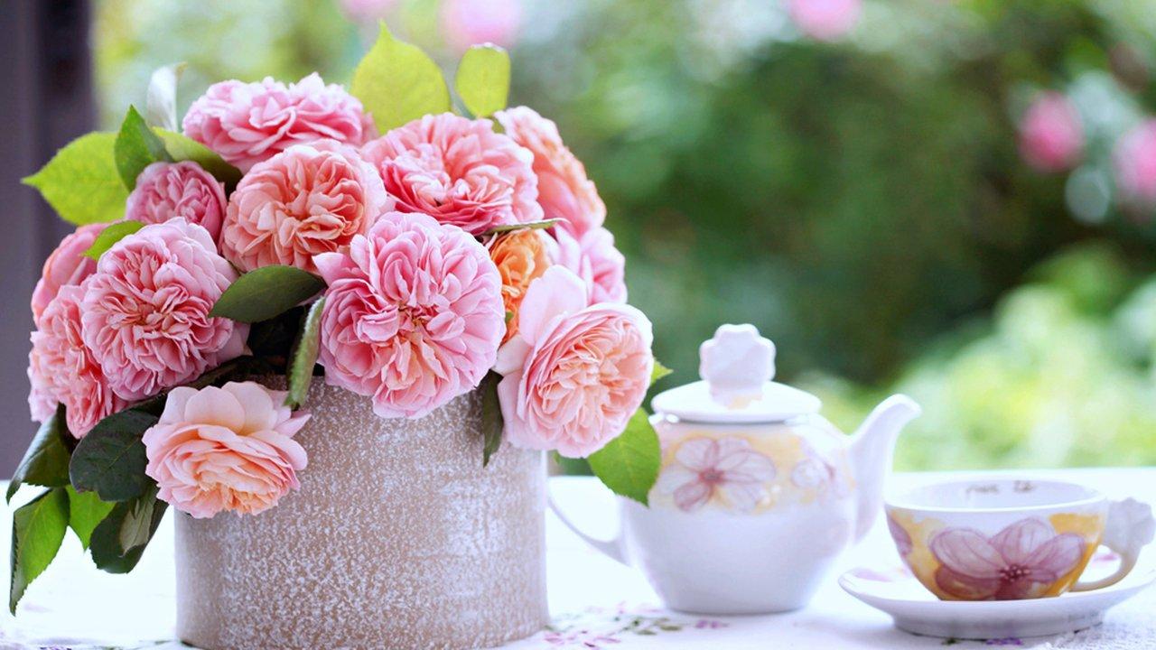 Relax, Love, Breakfast, Free, Flowers, HD Flower Wallpaper