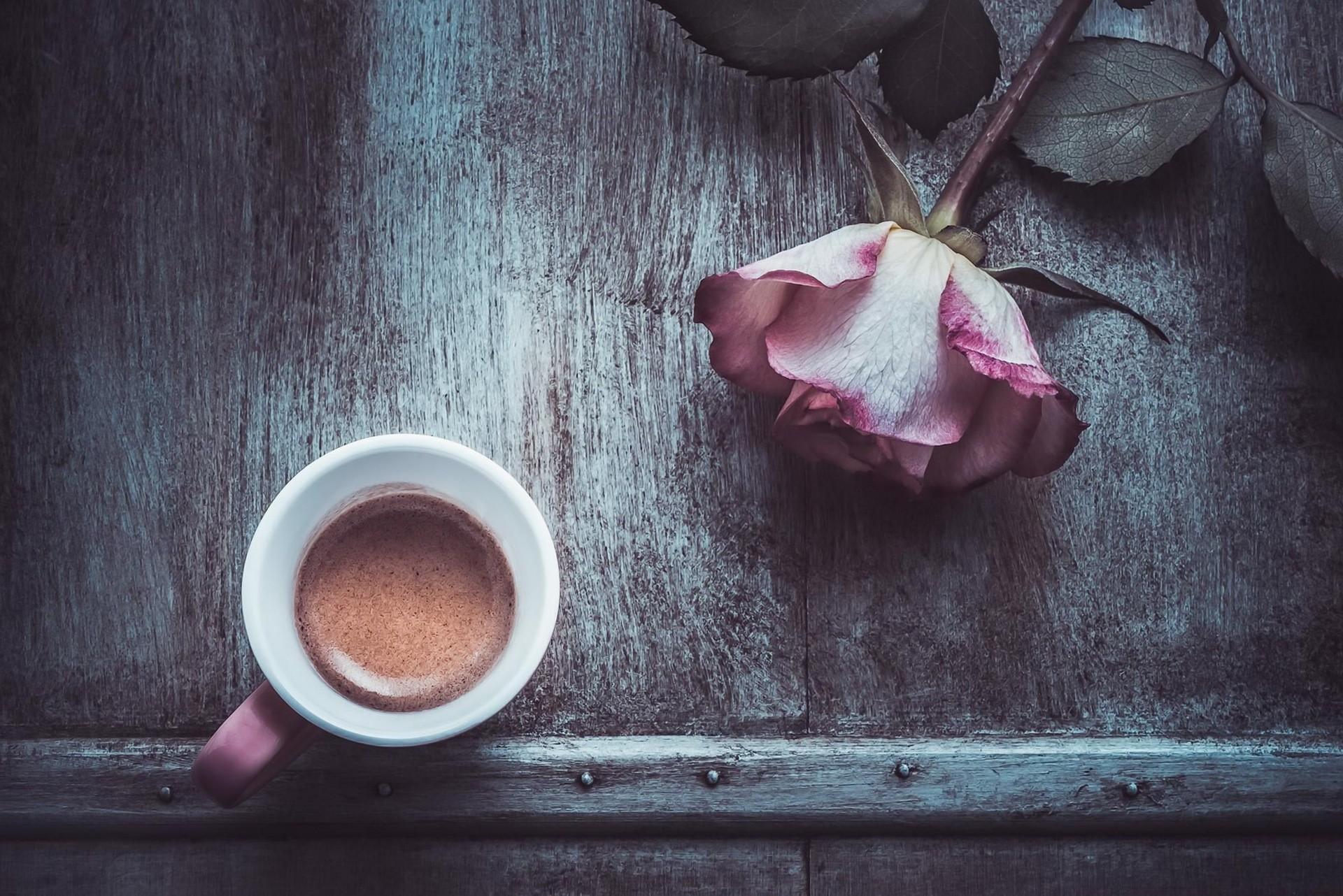 Pink Coffee Wallpapers - Wallpaper Cave