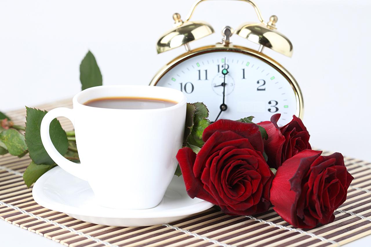 Coffee And Roses & Nature Background Wallpaper