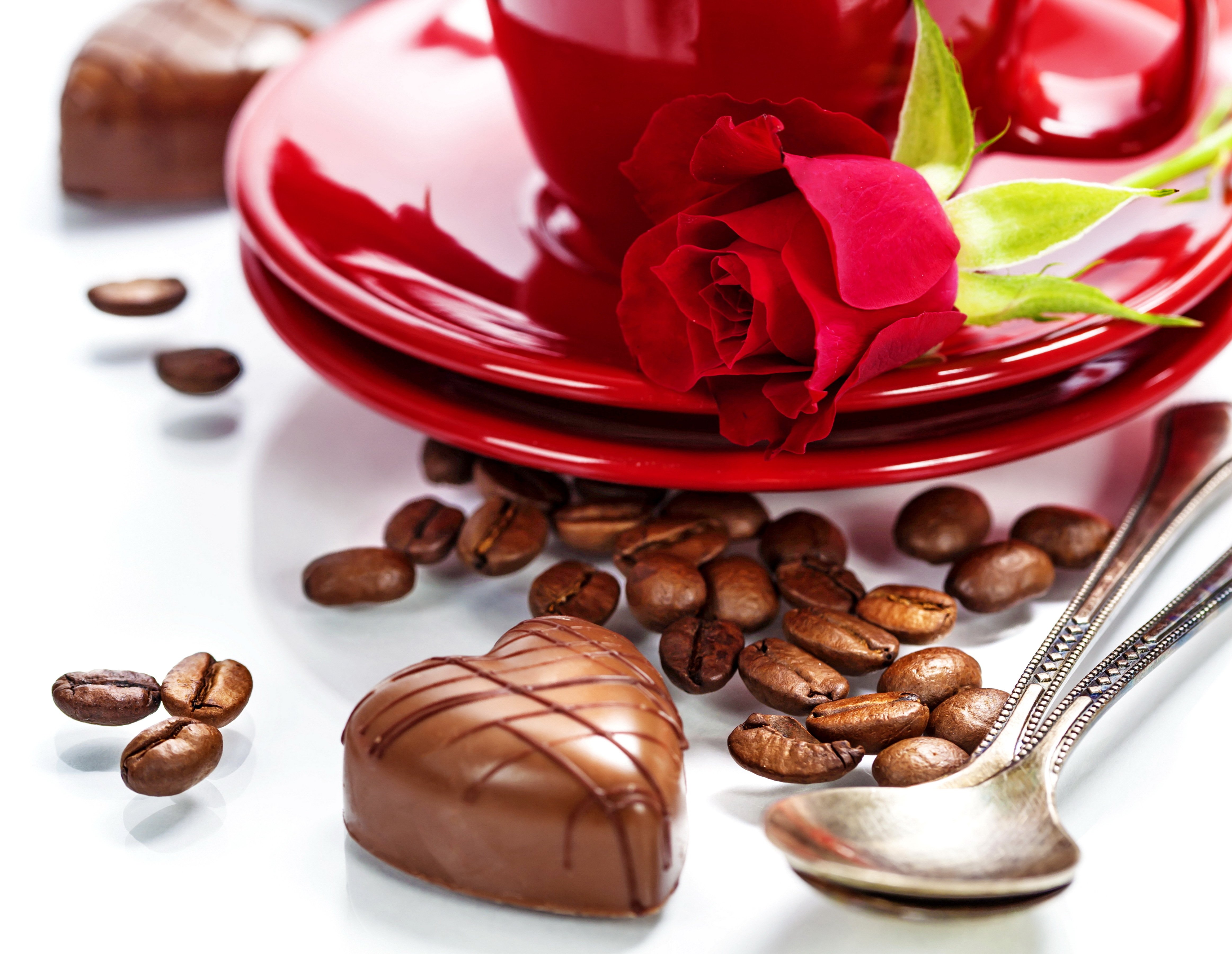 rose, Flowers, Coffee, Red, Love, Romance, Life