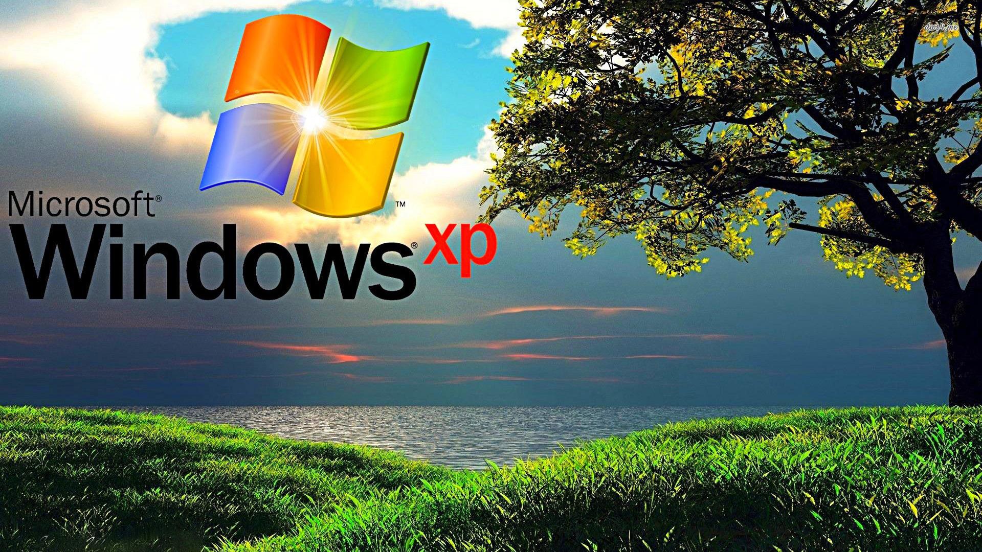 Windows XP wallpaper wallpaper