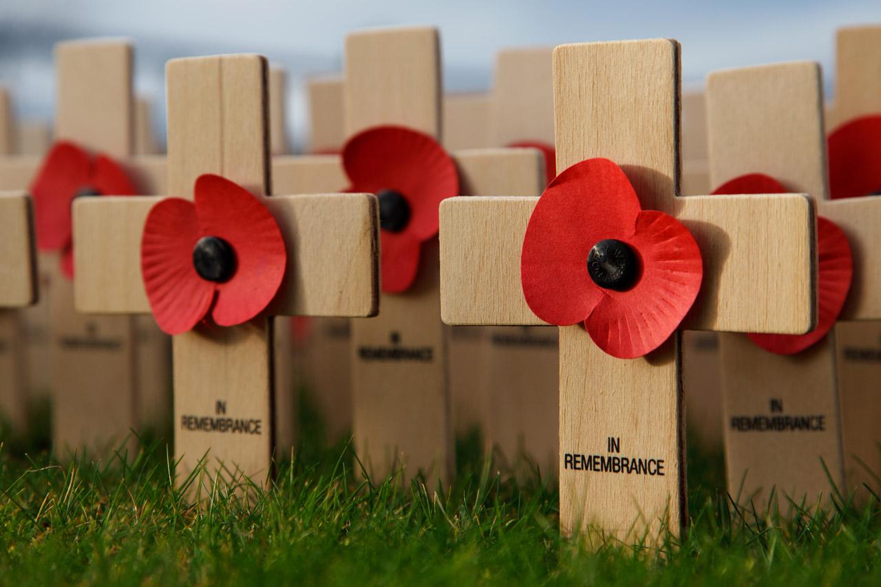 Remembrance Day Free Domain Picture