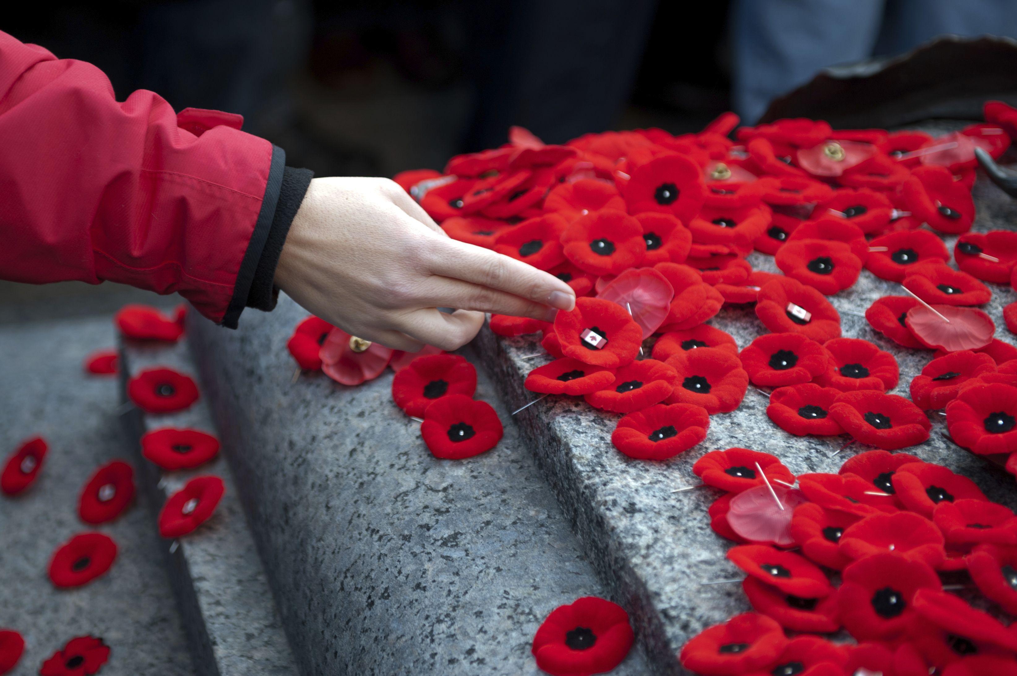 It's Time To Re Read John McCrae's Beautiful Poem. We Will