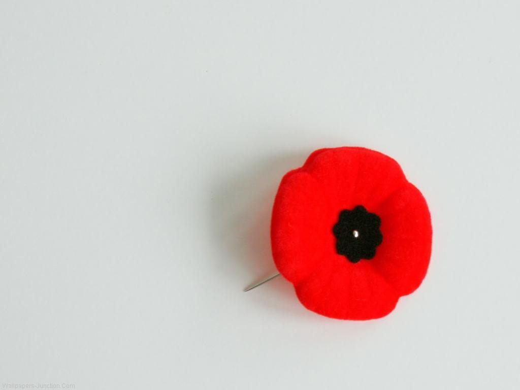 Free download remembrance day also known as poppy day or