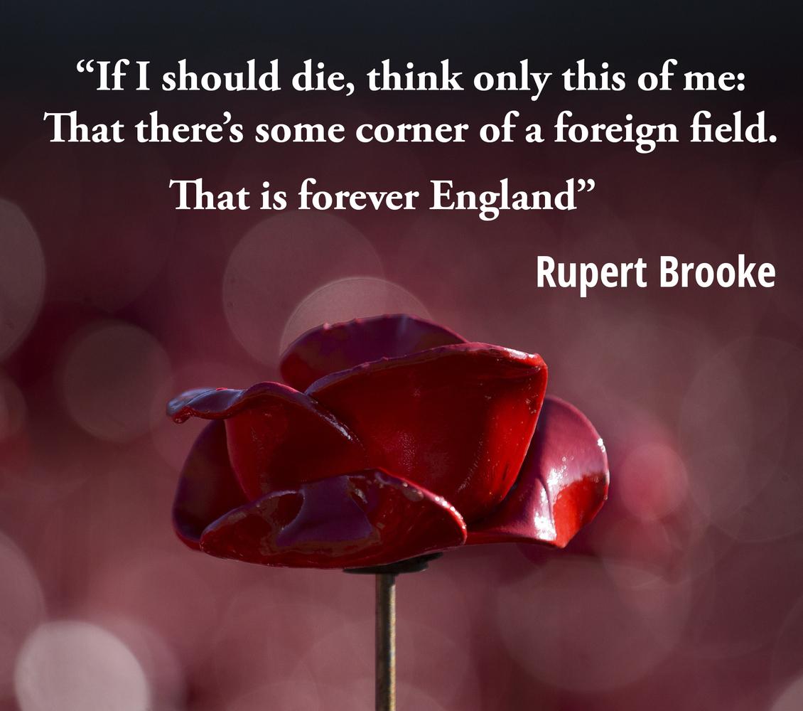 Quotes: Armistice Day: These Poignant Words Remind Us Of