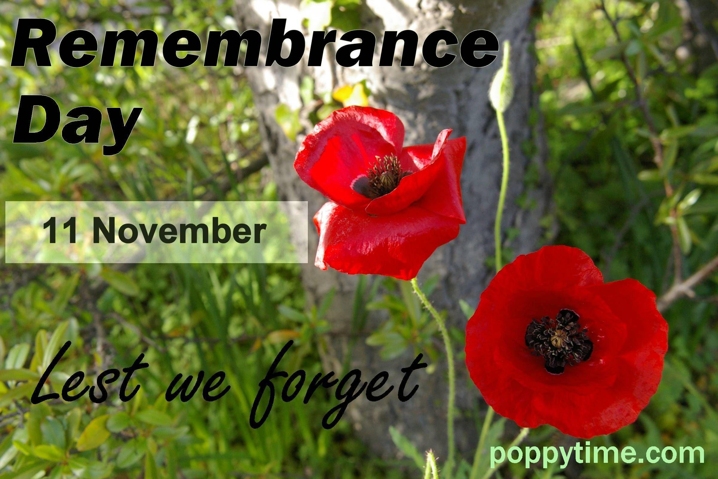 Remembrance Poppy. Remembrance Poppy Image Wallpaper