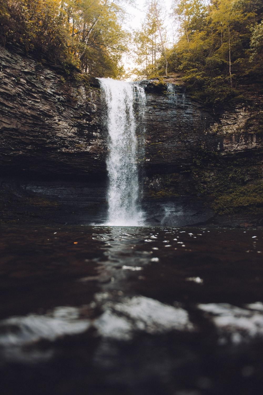 waterfalls surrounded with trees photo