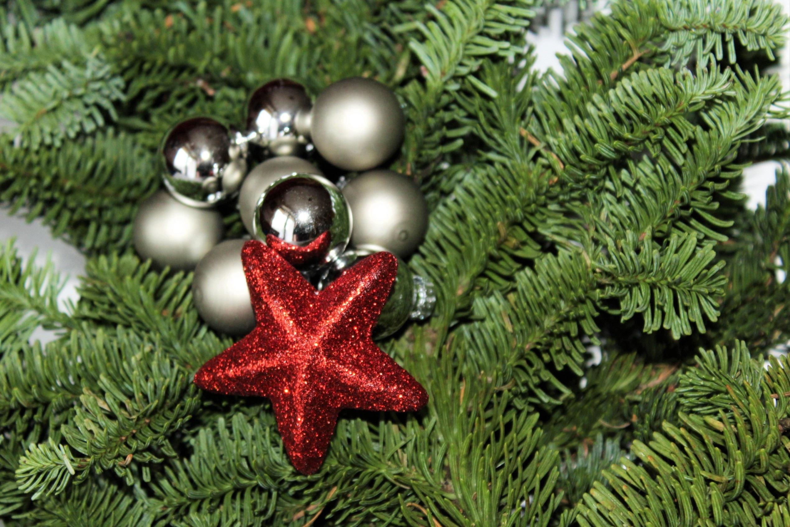 grey baubles, red starfish and green christmas tree free