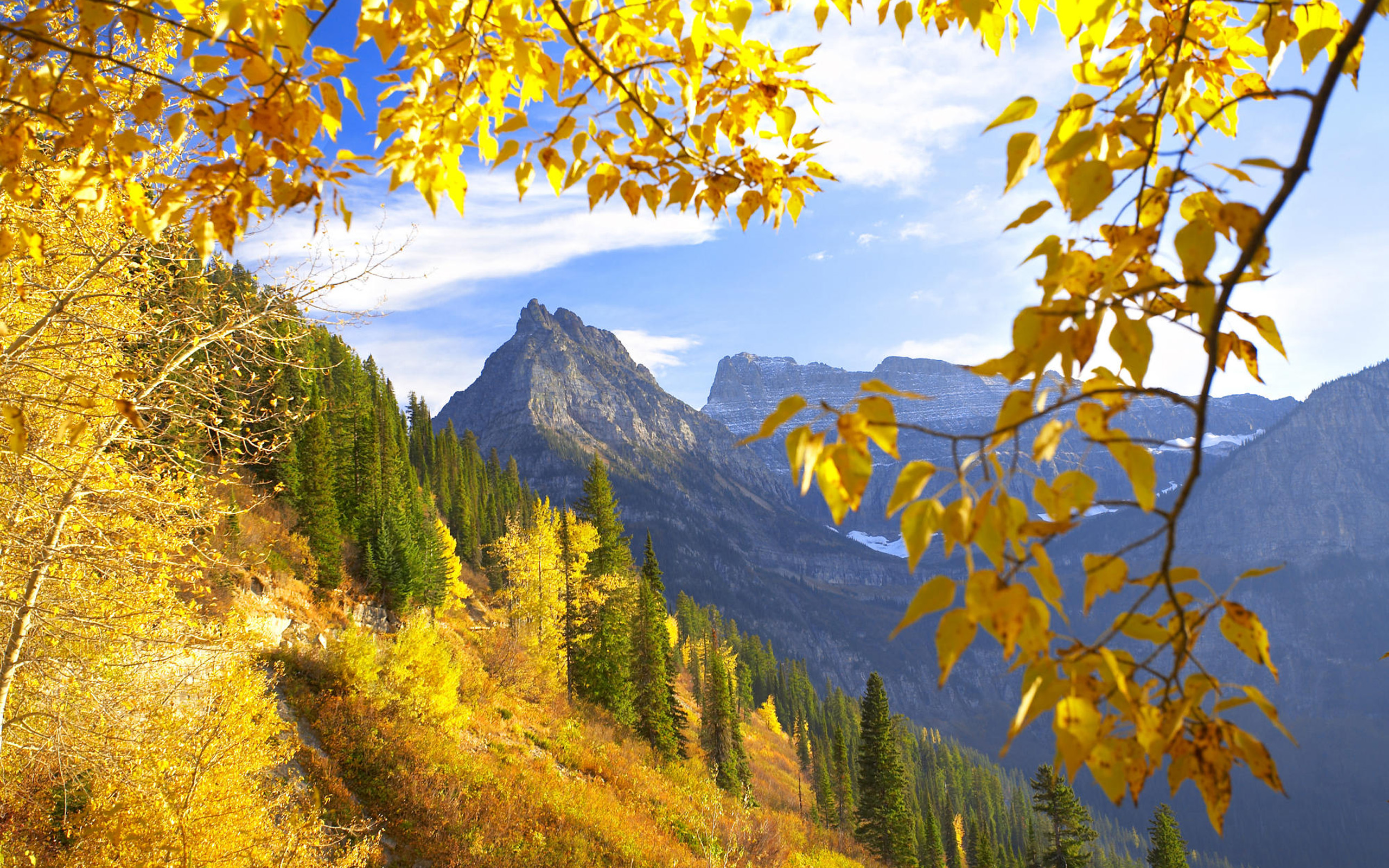 Glacier National Park and Montana Autumn mix mountain trees